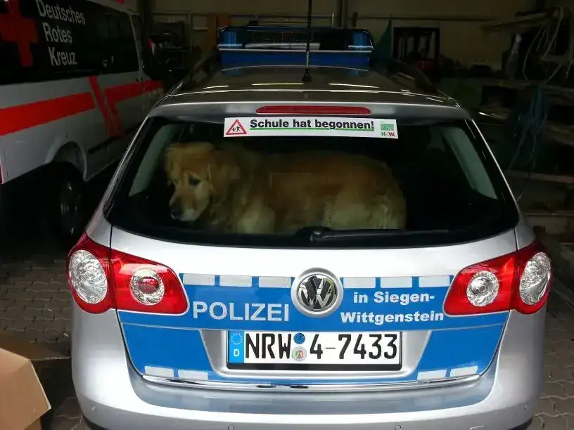 Polizeiwagen Heckaufkleber – Einsatz- & Sonderfahrzeuge von Münch Werbetechnik Siegen