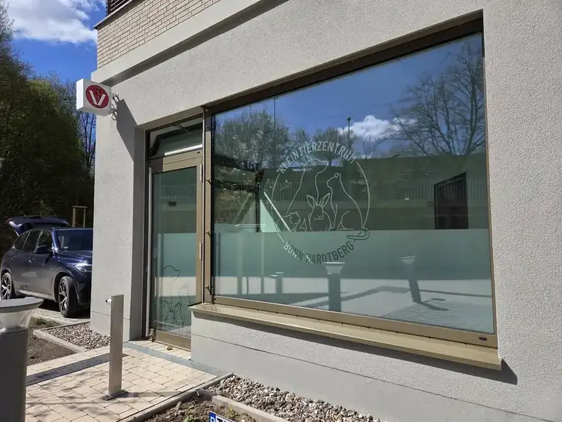 Fensterfolierung Kleintierzentrum – Glas, Fassade & Gebäude von Münch Werbetechnik Siegen