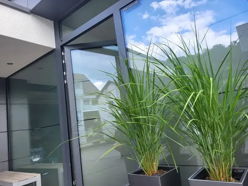 Glasdekorfolie Fensterfront – Glas, Fassade & Gebäude von Münch Werbetechnik Siegen