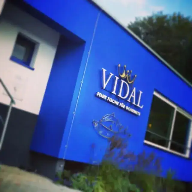 Vidal Gebäudewerbung seitlich – Licht- & Außenwerbung von Münch Werbetechnik Siegen